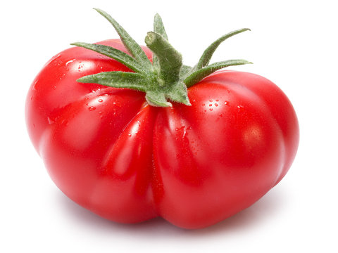 Togorific Tomate