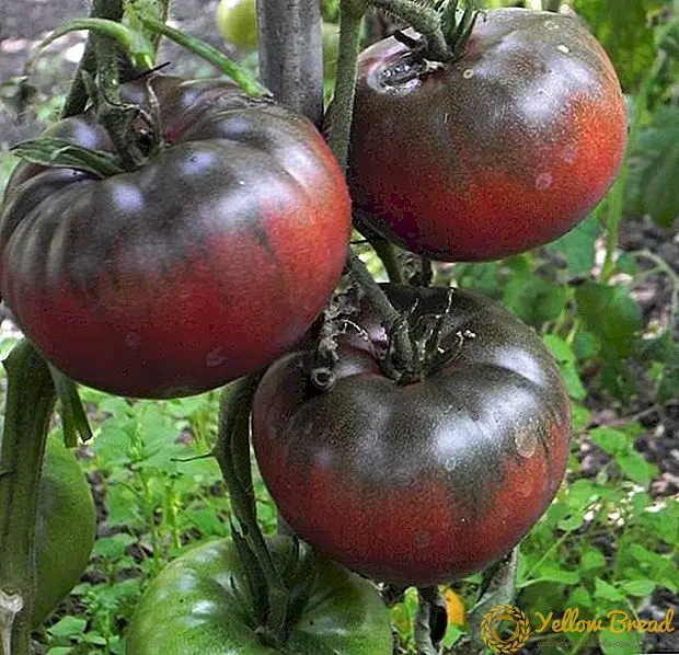 Black Krim