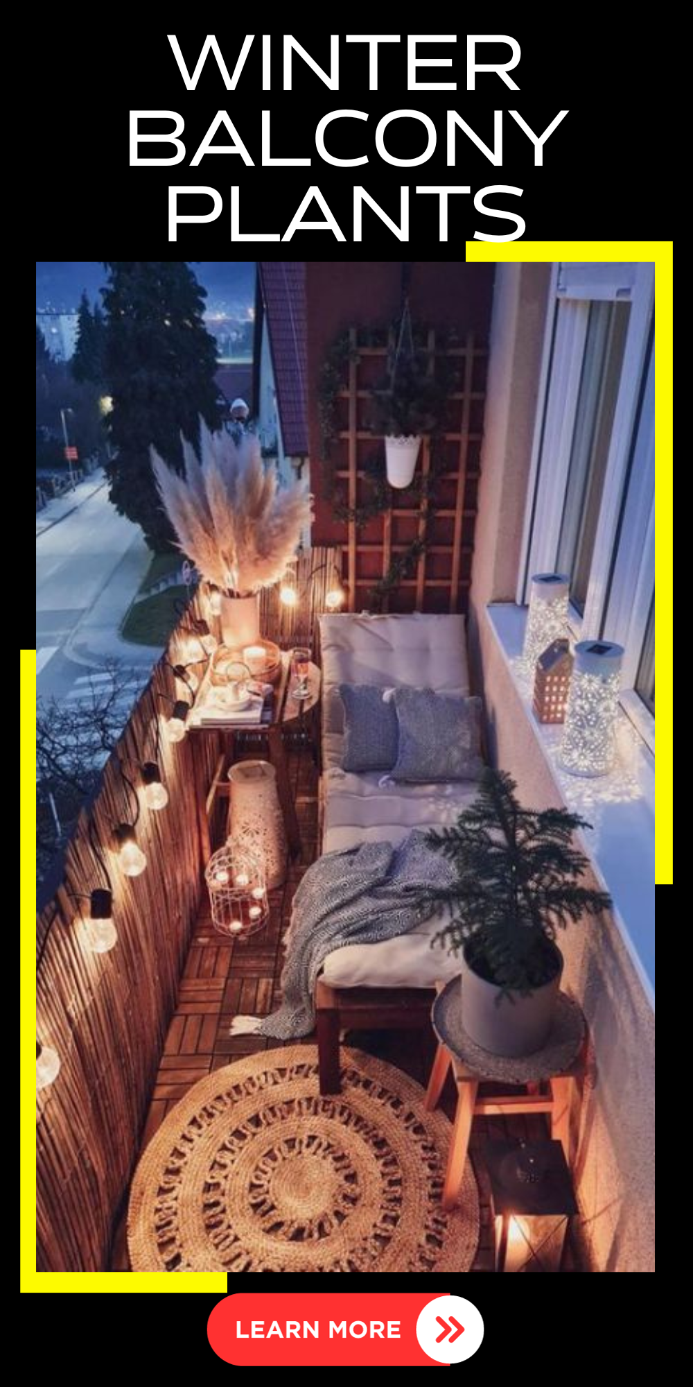 Winter Balcony Plants: Adding Green Magic to Your Home's Curb Appeal