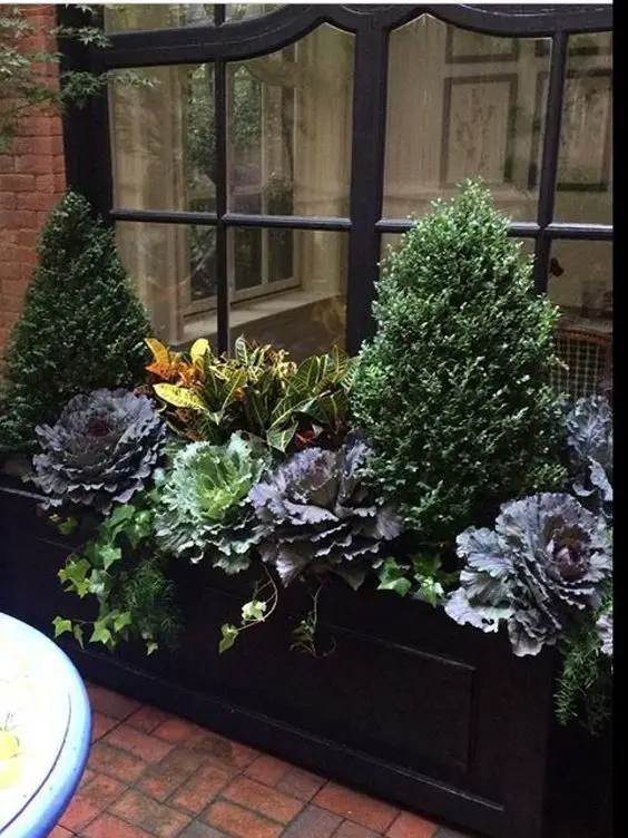 Winter Balcony Plants: Adding Green Magic to Your Home's Curb Appeal