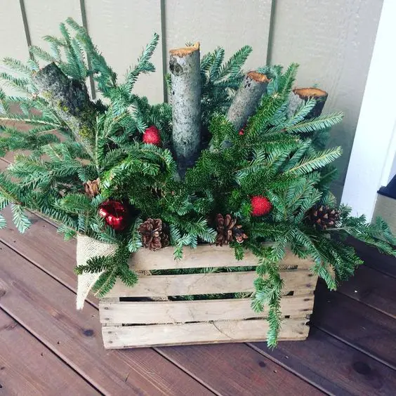 Winter Balcony Plants: Adding Green Magic to Your Home's Curb Appeal