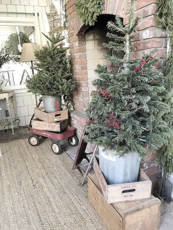 Enhancing Your Home's Curb Appeal with Winter Plants: A Gardener's Guide