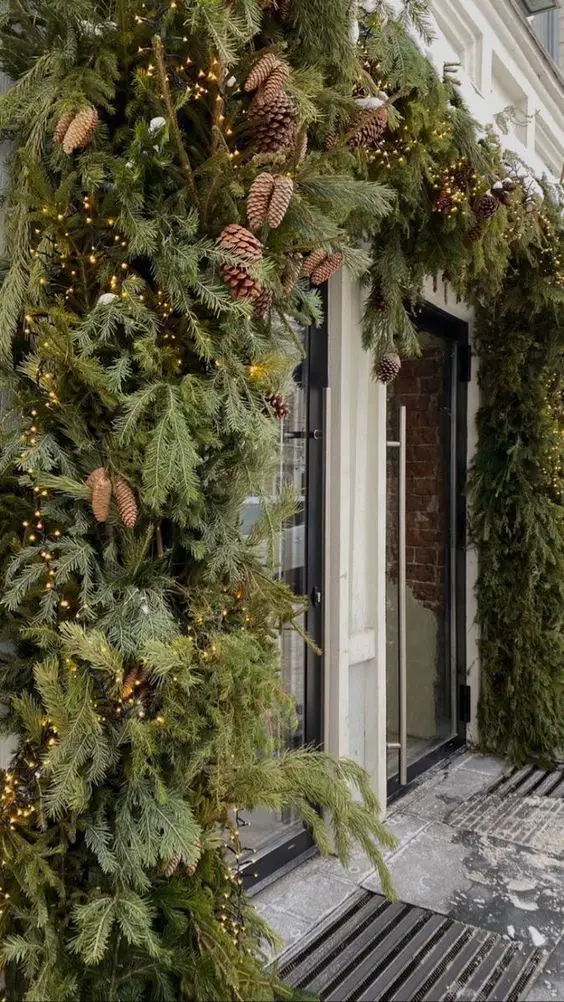 Winter Balcony Plants: Adding Green Magic to Your Home's Curb Appeal