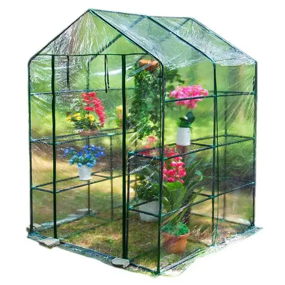 Cold Weather Plants: A Gardener's Guide to Winter Greenery