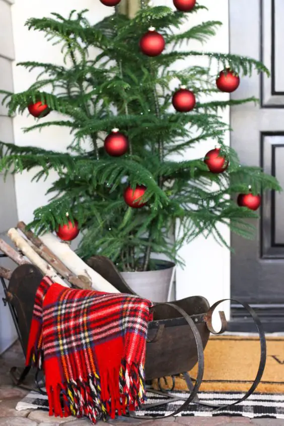 Enhancing Your Home's Curb Appeal with Winter Plants: A Gardener's Guide