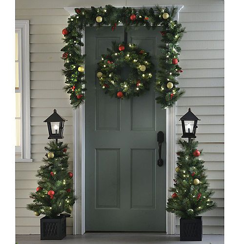 Embrace the Chill: Winter Plants for Outdoor Spaces