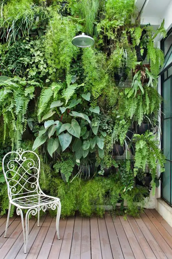 Cold Weather Plants: A Gardener's Guide to Winter Greenery