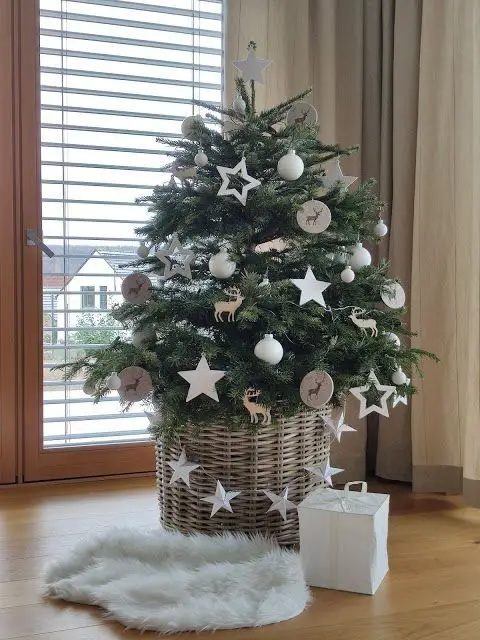 Winter Balcony Plants: Adding Green Magic to Your Home's Curb Appeal