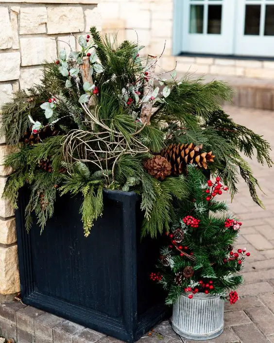Winter Balcony Plants: Adding Green Magic to Your Home's Curb Appeal