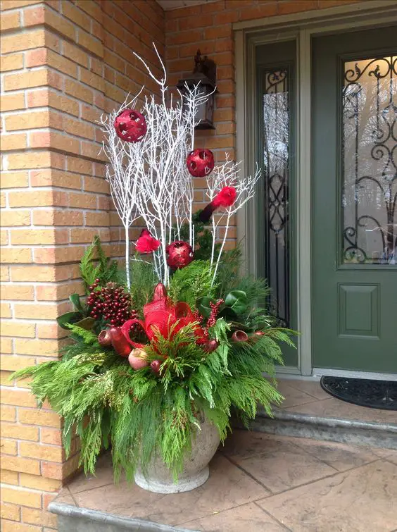 Embrace the Chill: Winter Plants for Outdoor Spaces