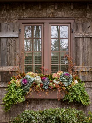 Boho Window Box Flowers 2024: Elevate Your Home's Curb Appeal