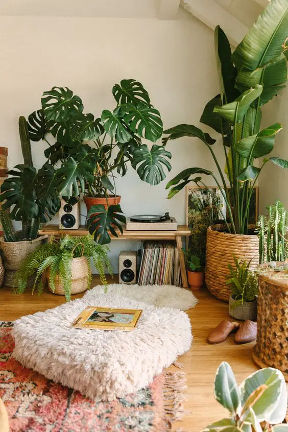 Cozy Living Room 2024: Redefining Interior Design in the US