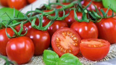 Tomate Rubylicious