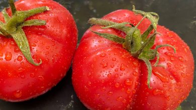 Tomate Vivagrande