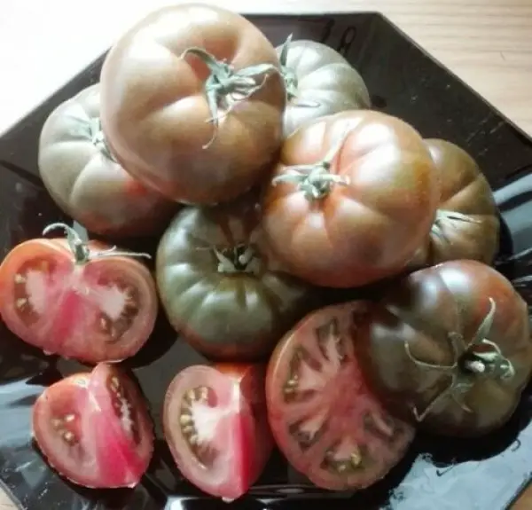 Adarys Tomaten