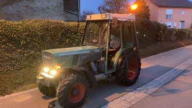 fendt 270 v technische daten