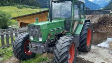 Fendt 306 LSA Technische Daten