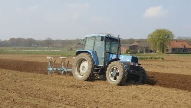 Landini Blizzard 65 Technische Daten