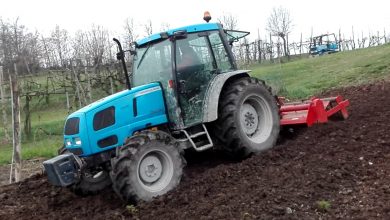 Landini Globus 65 Technische Daten