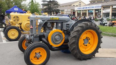 Landini L25 Technische Daten