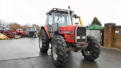 Massey Ferguson 3095 Technische Daten