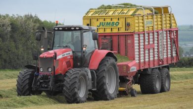 Massey Ferguson 7495 Technische Daten