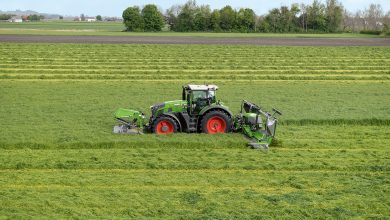 Fendt 900 Vario Technische Daten