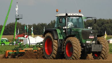Fendt 916 Vario Technische Daten