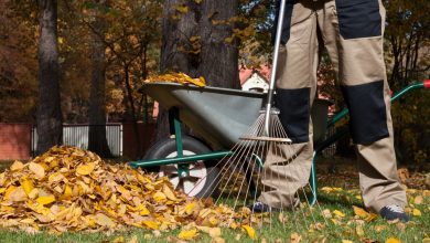 Harken wie ein Profi: Spart Zeit und Energie im Garten