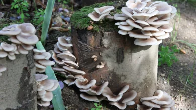 Mit herzlichen Grüßen, Hans Müller