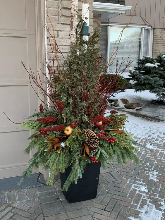 Winter Porch Planter Ideas: Flower Pots 2024