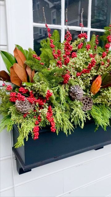 Window Box Flowers for Winter 2024: Expert Tips for Curb Appeal | Plant ...
