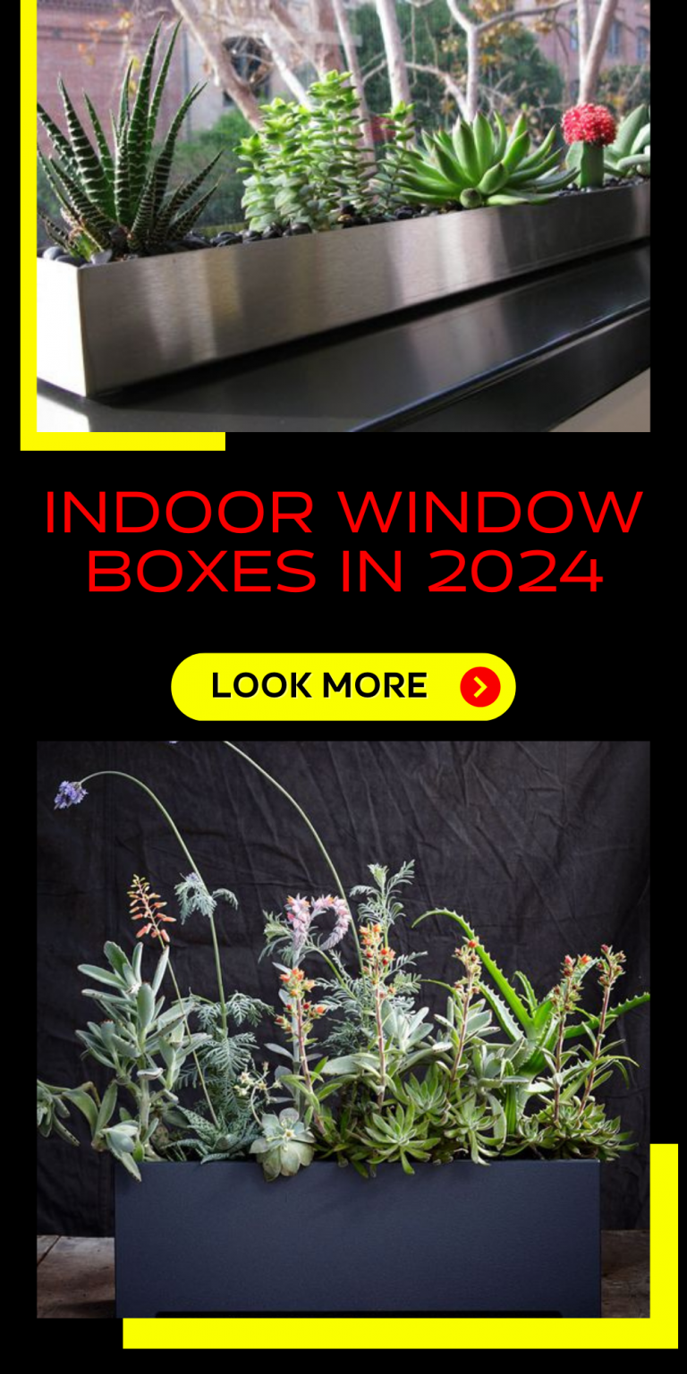 Transform Your Home With Indoor Window Boxes Expert Gardening   V 5 1 768x1536 