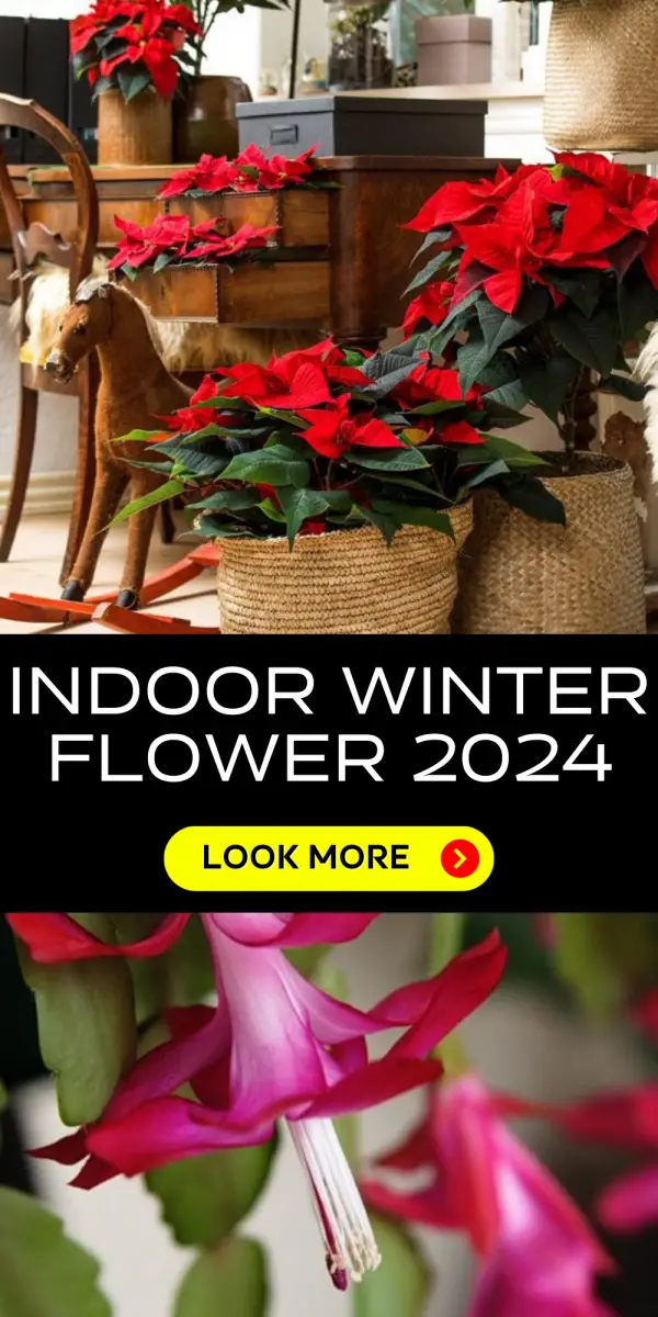 Indoor Winter Flowers 2024 Elevate Your Home Decor With Blooms   V 6 1 600x1200 