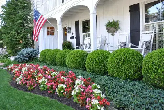 Transform Your Home with Elegant Bushes & Low-Maintenance Gardens